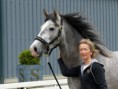 /album/les-chevaux/baelo-2-jpg2/